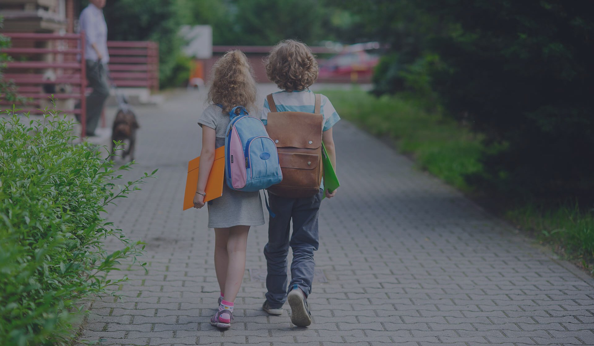 managing multi-curriculum